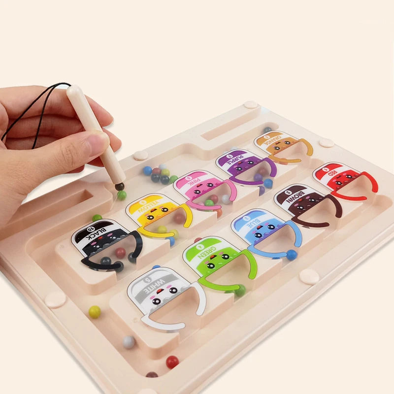 Magnetic Bead Maze