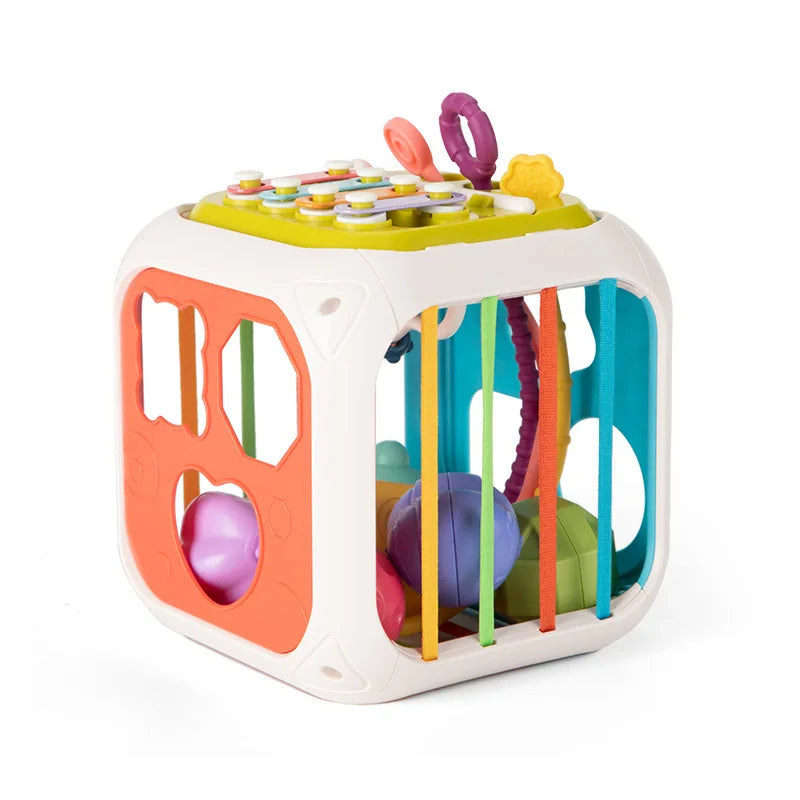 Sensory Shape Sorter