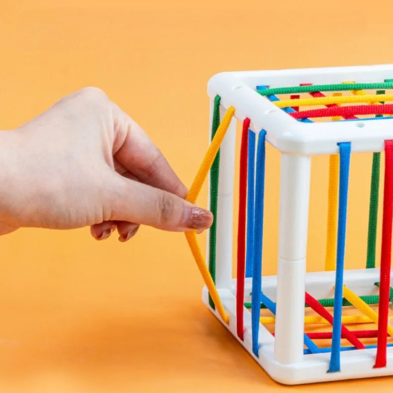 Colorful Blocks Sorting