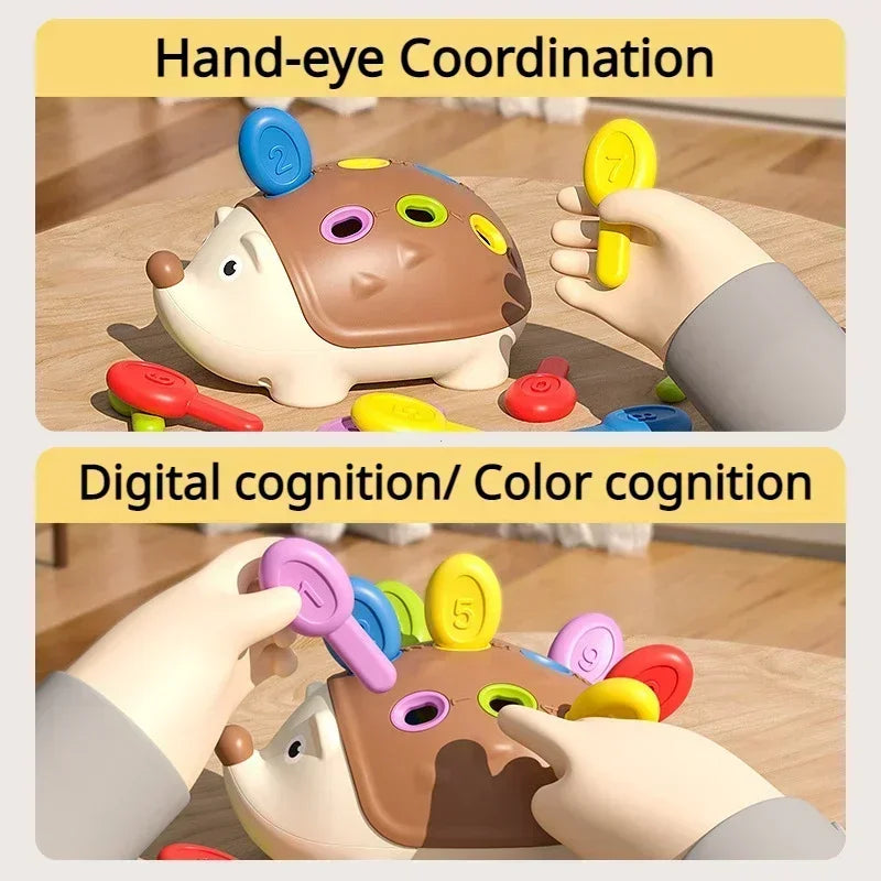 The Counting Hedgehog!