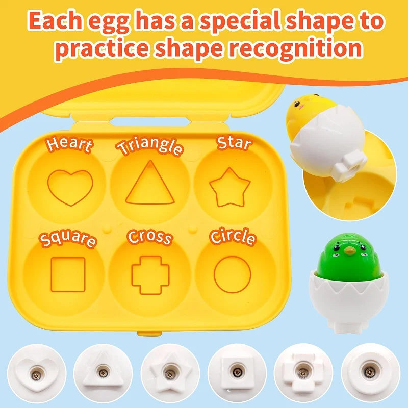 Montessori Egg Toys