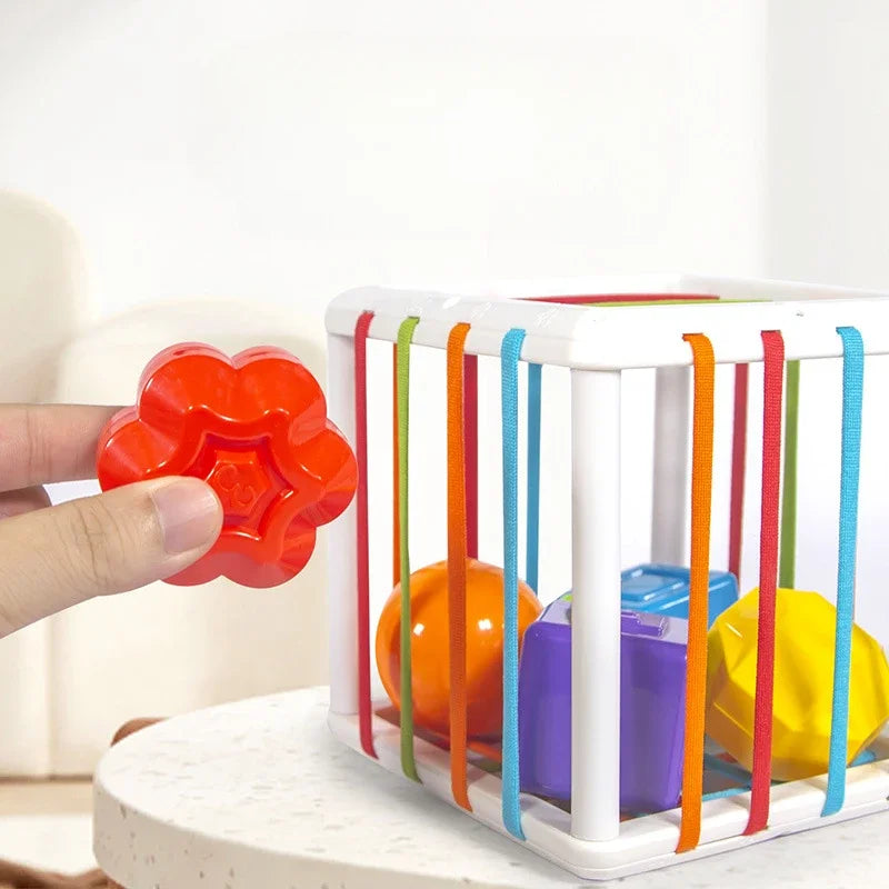 Colorful Blocks Sorting