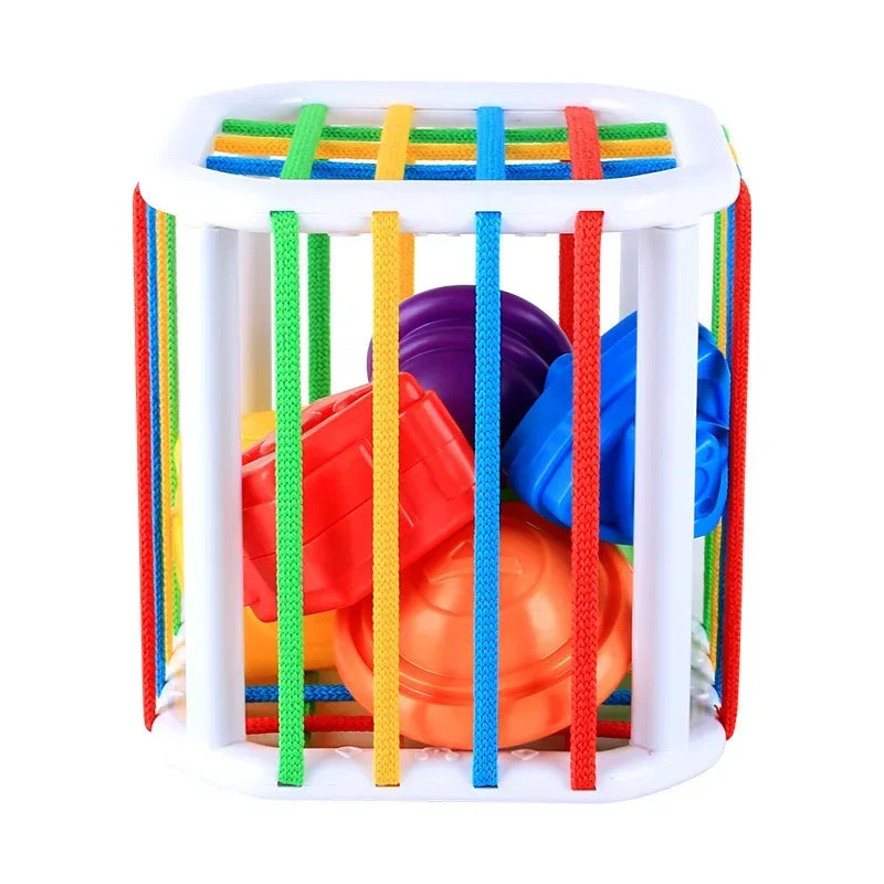 Colorful Blocks Sorting