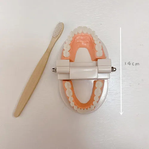 Montessori Baby DIY Busy Board