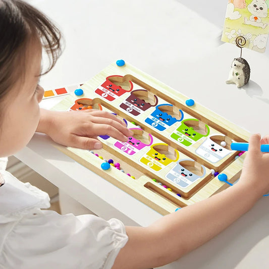 Color Sorting Maze Board