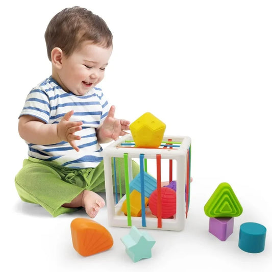 Colorful Blocks Sorting